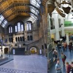 Londra Doğa Tarihi Müzesi