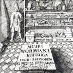 Ole Worm’s collection of curiosities (Museum Wormianum, 1655)