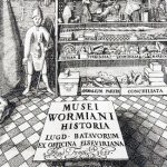 Ole Worm’s collection of curiosities (Museum Wormianum, 1655)